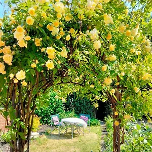 Garden Guisborough